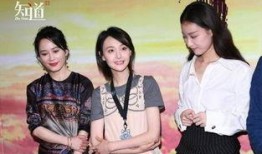 吃瓜文献娱乐圈,揭秘明星幕后故事